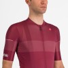 Abbigliamento Uomo Maglia Trofeo Giro d'Italia 2024 - Bordeaux