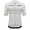 Abbigliamento uomo Zurigo 2024 Maglia Santini UCI Masters World Champion - Grigio