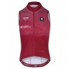 Abbigliamento uomo Strade Bianche 2024 Gilet