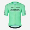 Abbigliamento uomo Maglia Orbea Factory Team 2024 Lab