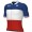 Abbigliamento uomo Maglia Ale Groupama FDJ 2024 - Campione francese