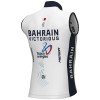 Abbigliamento uomo Gilet antivento Ale Bahrain Victorious 2024