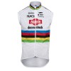 Abbigliamento uomo Gilet Kalas Alpecin Deceuninck 2024 WC