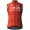 Abbigliamento uomo Gilet Gobik Ineos Grenadiers 2024 Plus 2.0