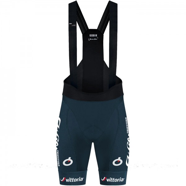Abbigliamento uomo Pantaloncini con bretelle Gobik Wilier Vittoria 2024 Absolute 6.0 K10