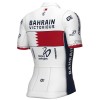 Abbigliamento uomo Maglia Ale Bahrain Victorious 2024 PRS - Campione del Bahrain