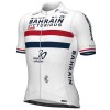 Abbigliamento uomo Maglia Ale Bahrain Victorious 2024 PRS - Campione di Gran Bretagna