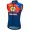 Abbigliamento uomo Gilet Santini Lidl Trek 2025