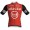 Maglia ufficiale Rosti maschile del Team Arkea-B&B Hotels 2025
