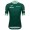 Maglia Santini Green Tour de France 2025 Fan Line da uomo