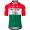 Abbigliamento Uomo Maglia Team Visma Lease a Bike 2025 - Campione Ungherese