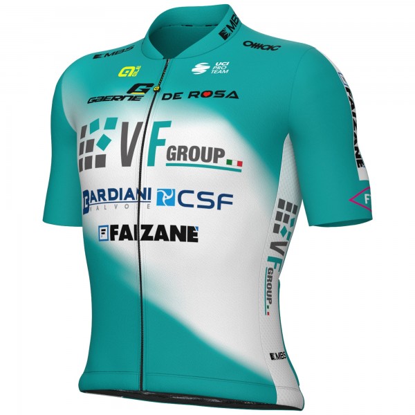 Maglia Ale VF Group-Bardiani CSF-Faizane 2025 da uomo