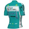 Maglia Ale VF Group-Bardiani CSF-Faizane 2025 da uomo