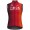 Abbigliamento uomo Gilet Gobik Ineos Grenadiers 2025 Plus 2.0