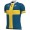 Completo Ciclismo 2020 FDJ Sweden champion Squadre Maglia Ciclismo Manica Corta