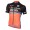 TEAM DE-ROSA SANTINI 2016 Maglia Ciclismo Manica Corta 82294-HY