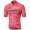 Completo Ciclismo 2019 Giro D'Italy Maglia Rosa Maglia Ciclismo Manica Corta
