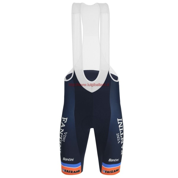 Completo Ciclismo 2019 Vini Fantini Nippo Salopette Ciclismo
