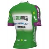 Maglia da ciclismo Green Project-Bardiani Csf-Faizane' 2023 manica corta (cerniera lunga)-ALE Professional Cycling Team